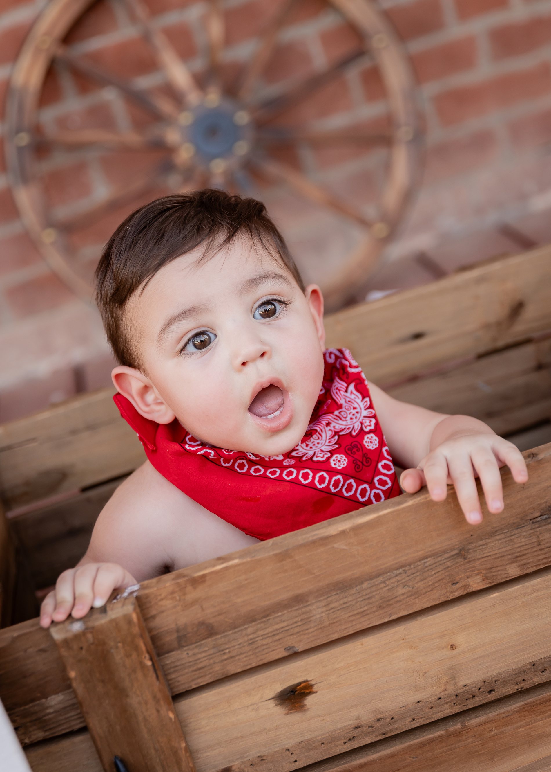 Gael Cake Smash birthday portrait by Pak Studios in Arizona birthday portrait session