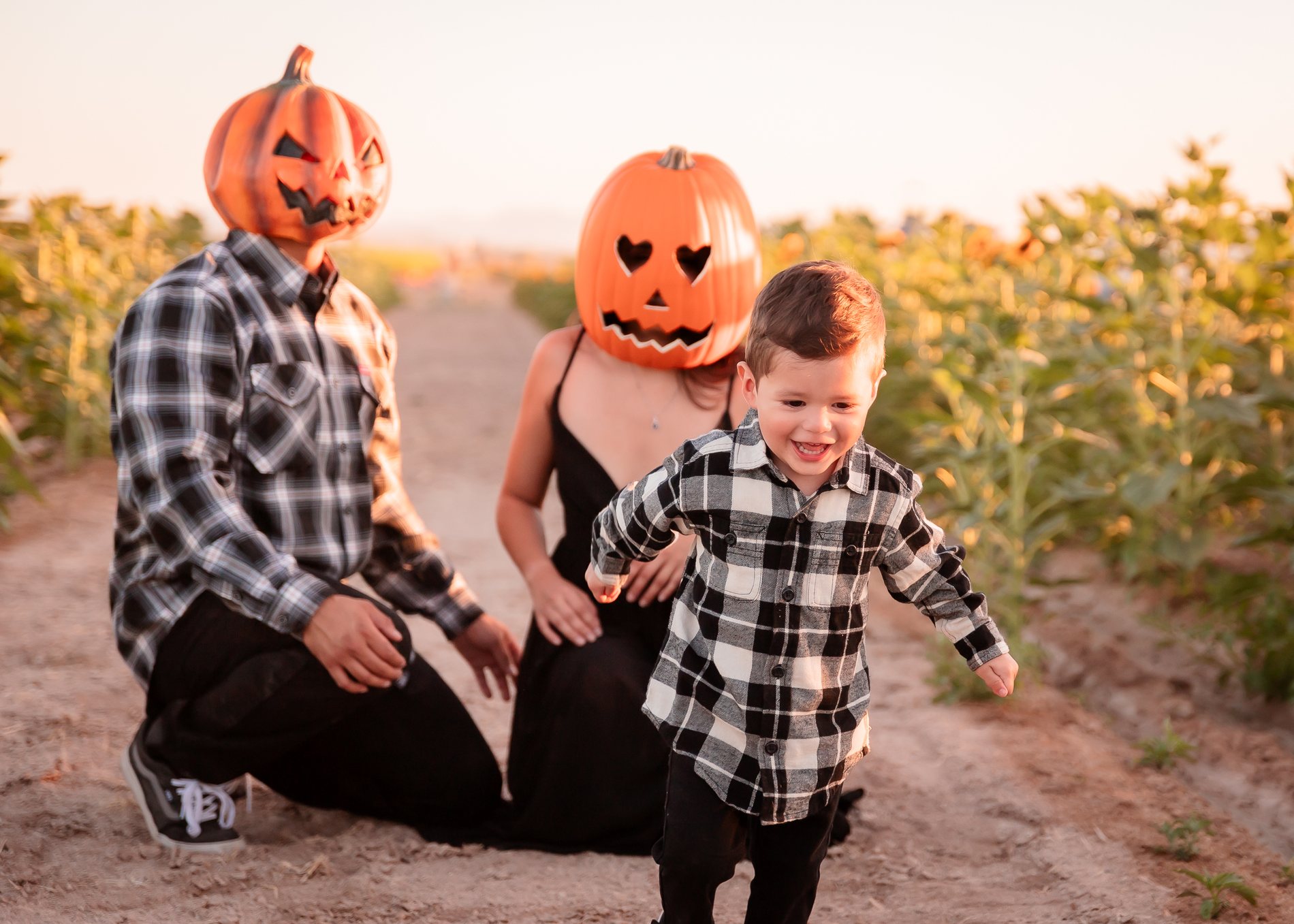 Pumpkin Patch family portrait by Pak Studios in Arizona family portrait session